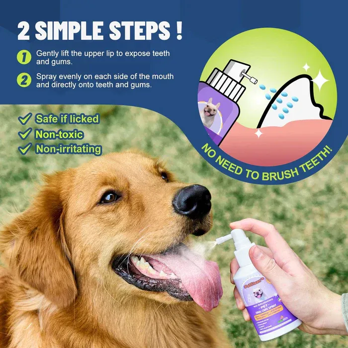 Pet Care Accessories